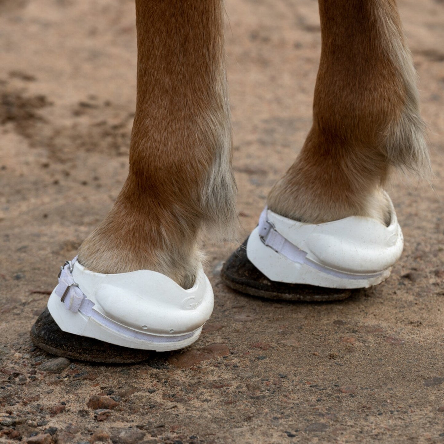 G Boots Originalet
