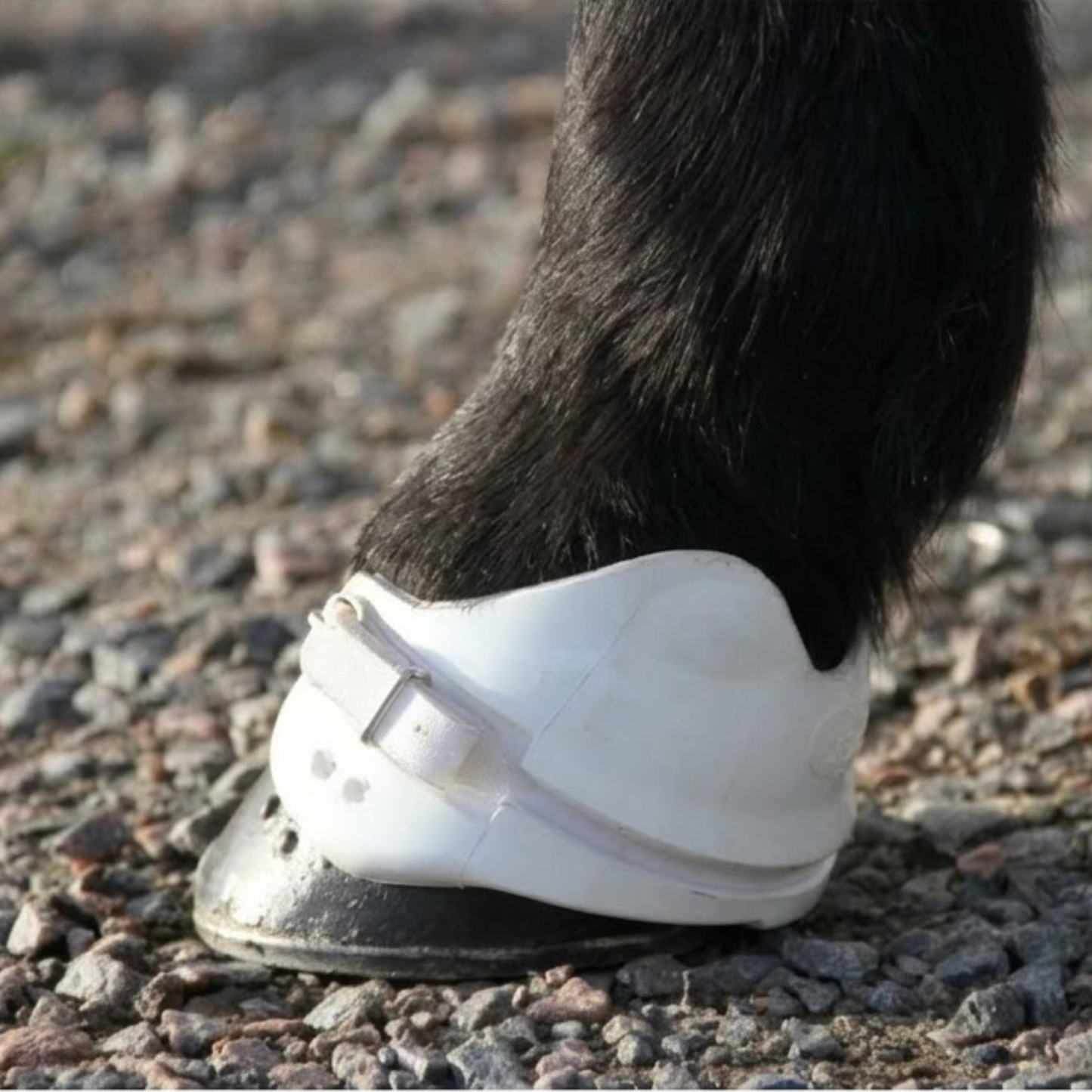 G Boots Viking